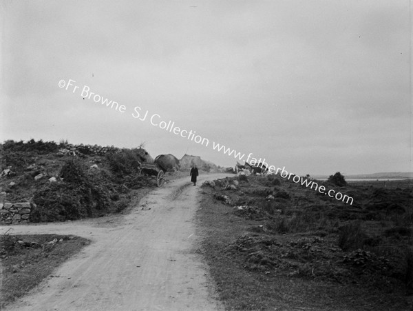 COUNTRY ROAD WITH FARM CARTS